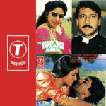 Hum Bhi Insaan Hain (1989) Mp3 Songs